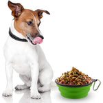 Pawvoo  Pet_store Collapsible Silicone Bowl for Dogs - 350mlDog Bowls
