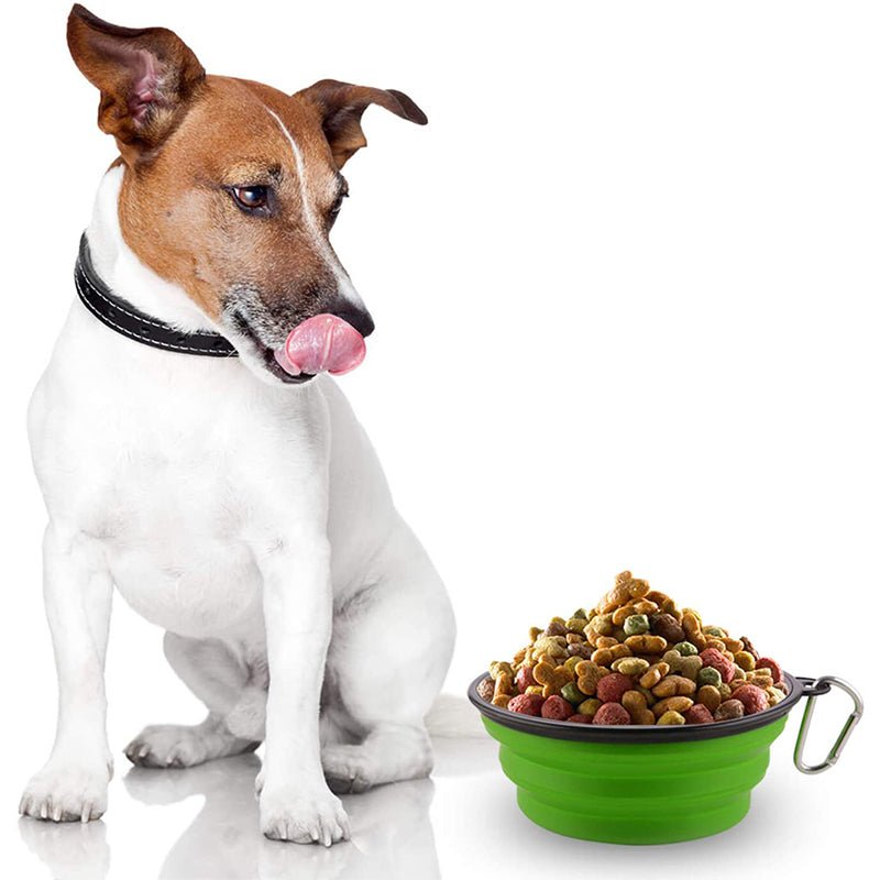 Pawvoo  Pet_store Collapsible Silicone Bowl for Dogs - 350mlDog Bowls