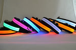 Pawvoo Light Up Dog CollarLeashes, Collars