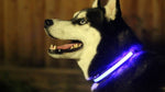 Pawvoo LED Light Up Dog CollarLeashes, Collars