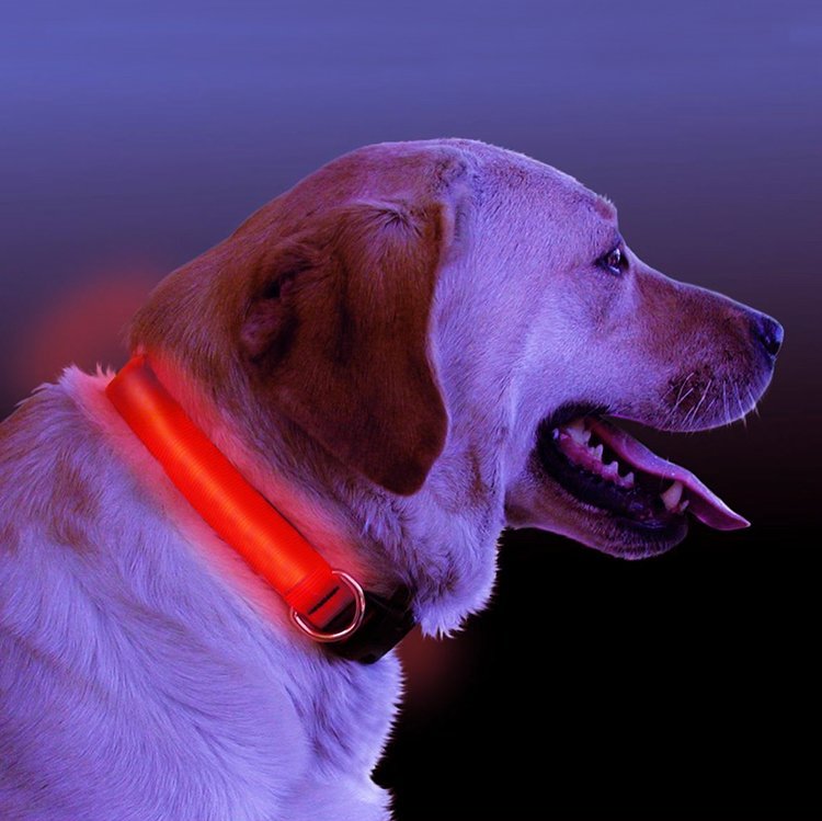 Pawvoo LED Light Up Dog CollarLeashes, Collars