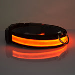 Pawvoo LED Light Up Dog CollarLeashes, Collars