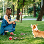 Pawvoo  Pet_store Set Of 5Pcs Rope Chew Toys Dog Interactive ToysDog toys