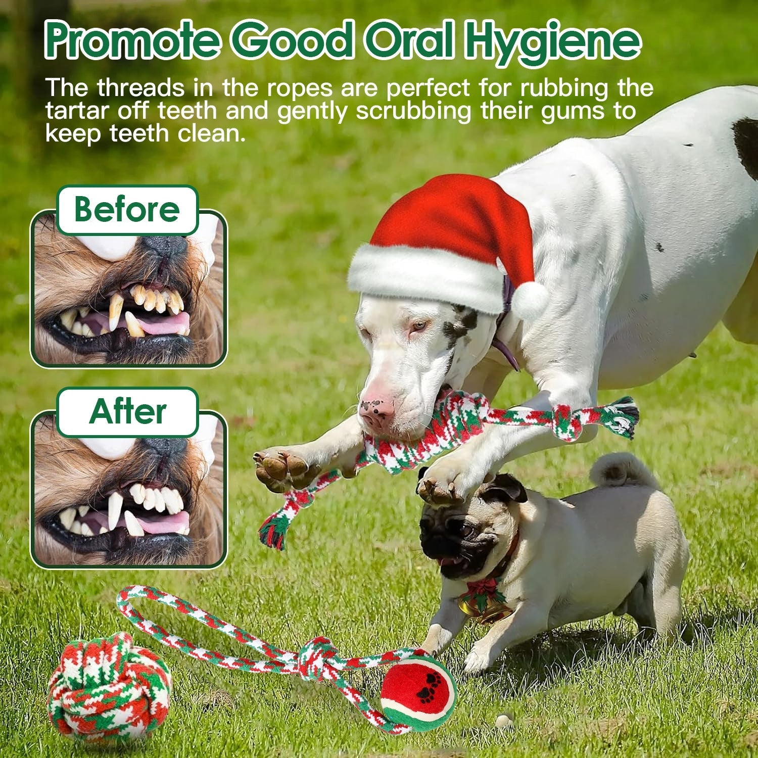 Pawvoo  Pet_store Set Of 5Pcs Rope Chew Toys Dog Interactive ToysDog toys