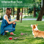 Pawvoo  Pet_store Set Of 5Pcs Rope Chew Toys Dog Interactive ToysDog toys