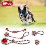 Pawvoo  Pet_store Set Of 5Pcs Rope Chew Toys Dog Interactive ToysDog toys
