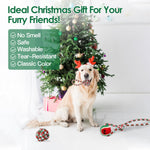Pawvoo  Pet_store Set Of 5Pcs Rope Chew Toys Dog Interactive ToysDog toys