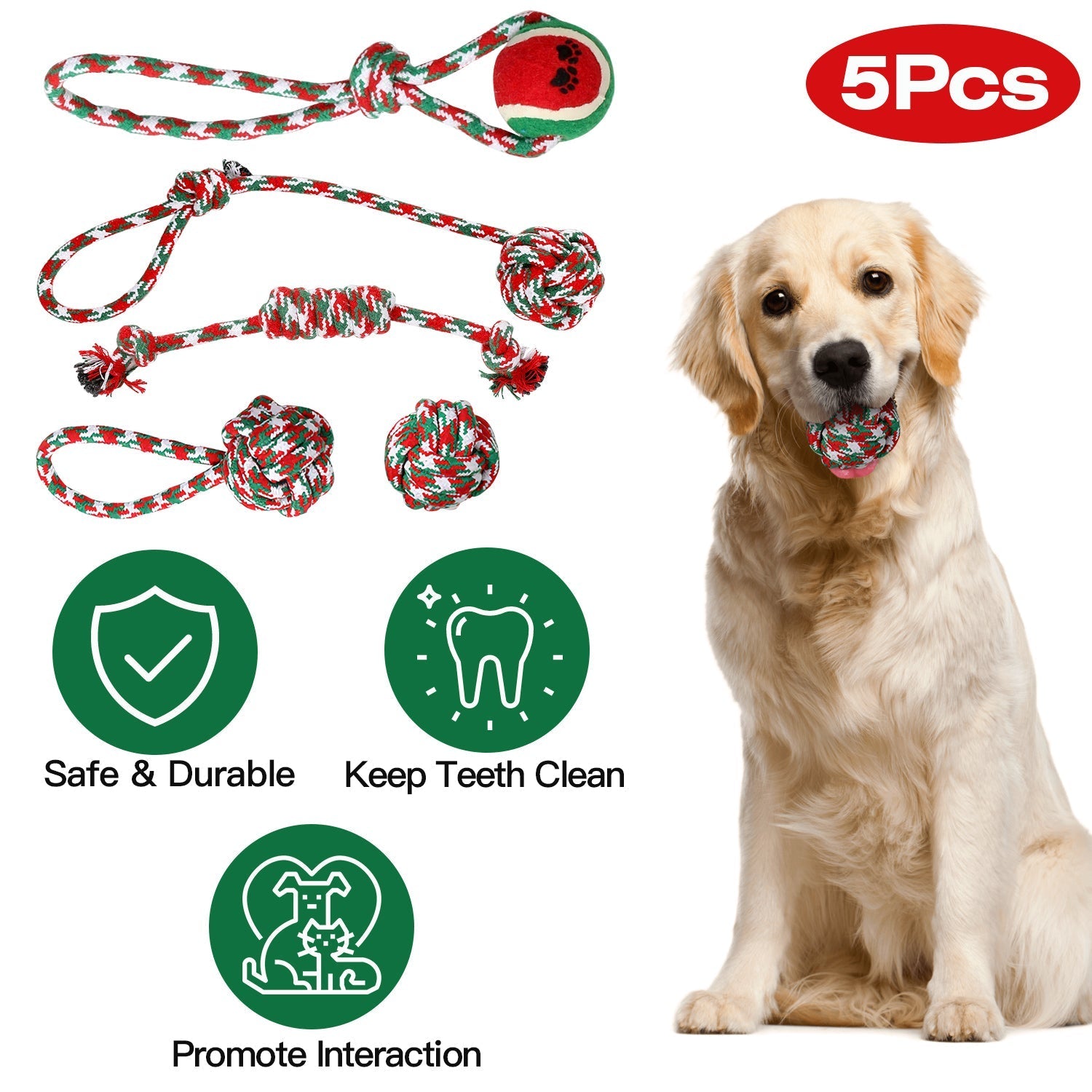 Pawvoo  Pet_store Set Of 5Pcs Rope Chew Toys Dog Interactive ToysDog toys