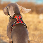 Pawvoo Pet Reflective Nylon Dog Harness No Pull  Dog Vest Safety Lead Walking